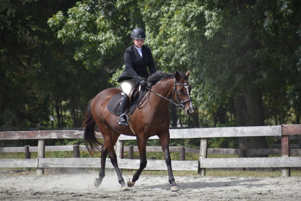 Equestrian club member riding a horse