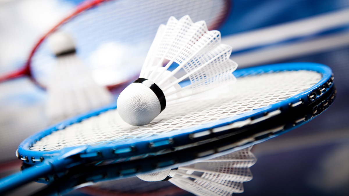 Badminton birdie resting on racket