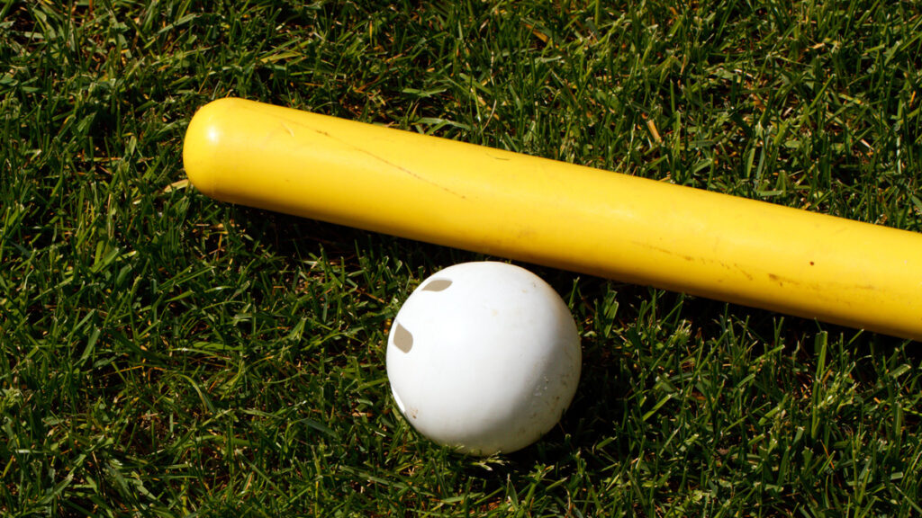 wiffleball and bat on grass