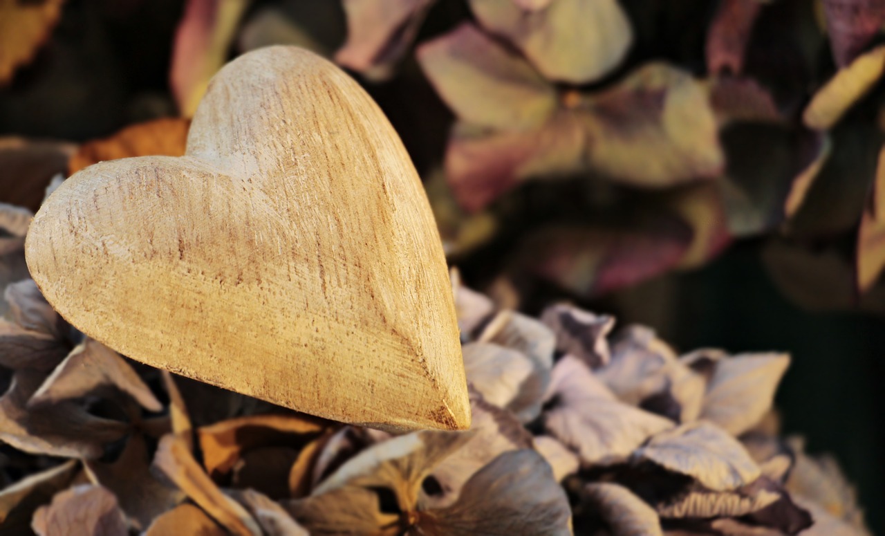 wooden heart on leaves